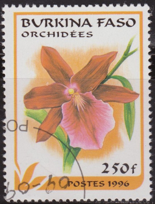 Burkina Faso 1996 Scott 1085 Sello º Flora Orquideas Orchidees 250Fr Ex Alto Volta