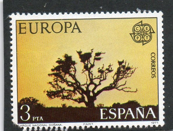 2413- PARQUE NACIONAL DOÑANA