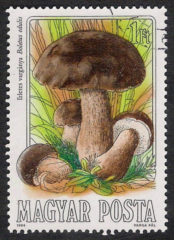 SETAS-HONGOS: 1.164.002,01-Boletus edulis -Phil.47537-Dm.984.55-Y&T.2936-Mch.3709-Sc.2874