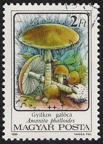 SETAS-HONGOS: 1.164.011,01-Amanita phalloides -Phil.47542-Dm.986.72-Y&T.3081-Mch.3871-Sc.3046