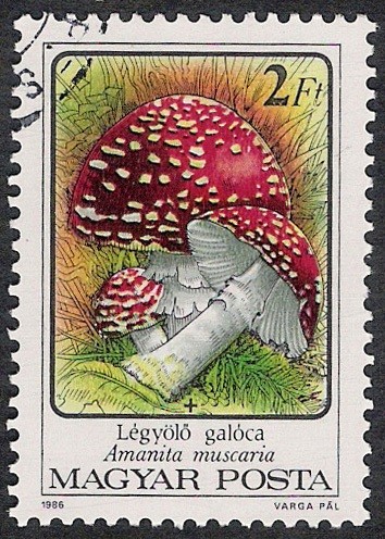 SETAS-HONGOS: 1.164.012,01-Amanita muscaria -Phil.47543-Dm.986.73-Y&T.3082-Mch.3872-Sc.3047