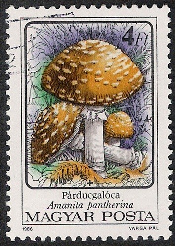 SETAS-HONGOS: 1.164.015,01-Amanita pantherina -Phil.47545-Dm.986.76-Y&T.3085-Mch.3875-Sc.3050