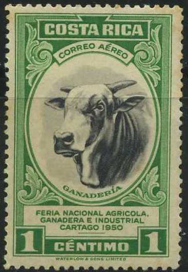 SC197 - Feria Nacional Agricola, Ganadera e Industrial