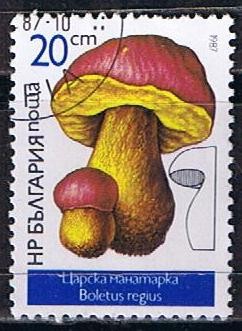 Scott  3233  Boletus regius (3)