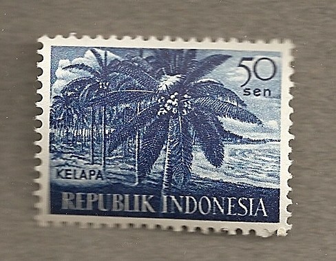 Kelapa