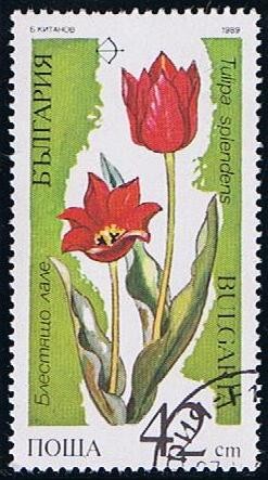 Scott  3396  Tulipan spender