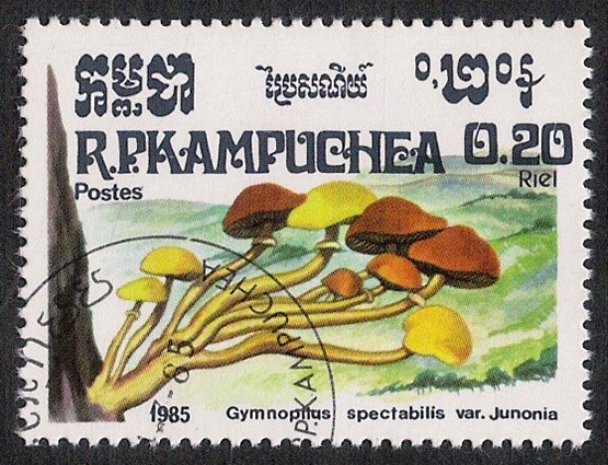 SETAS-HONGOS: 1.171.001,01-Gymnopilus spectabilis -Phil.49431-Dm.985.24-Y&T.576-Mch.648-Sc.568