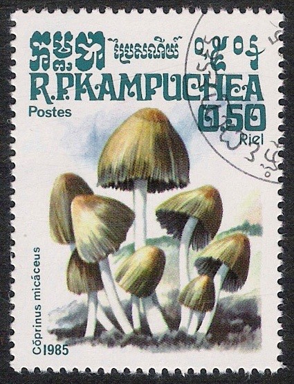 SETAS-HONGOS: 1.171.002,01-Coprinus micaceus -Phil.49432-Dm.985.25-Y&T.577-Mch.649-Sc.569