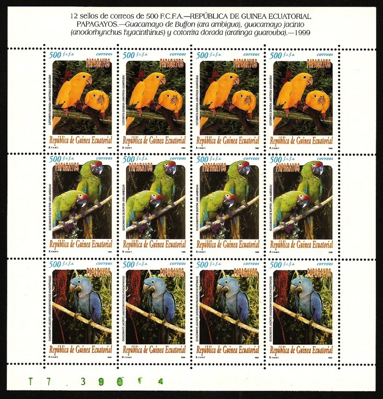 Aves - Papagayos - Minipliego