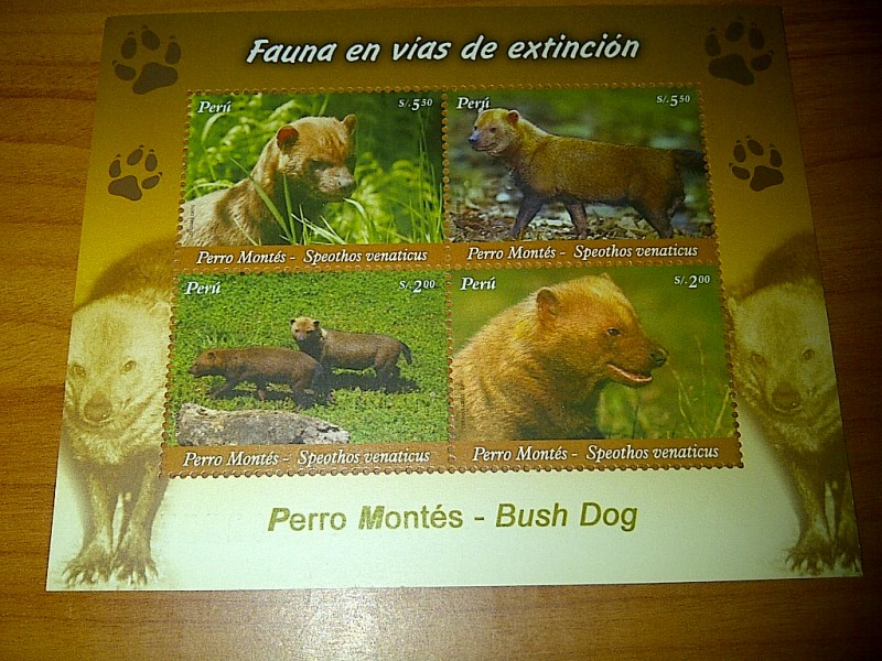 fauna en extincion