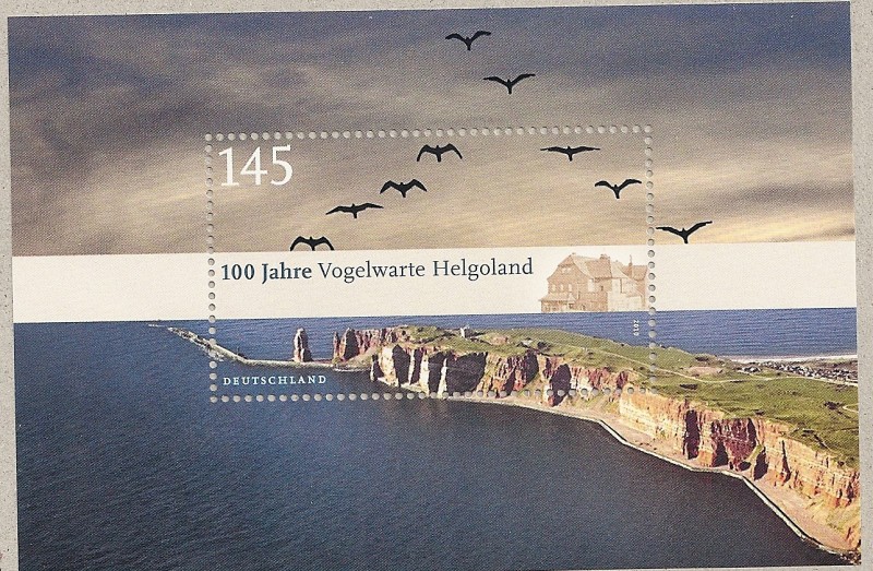 100 Aniv. posadero aves en Helgoland