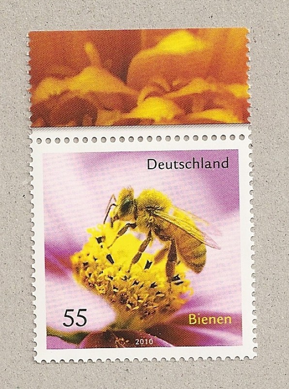 Abeja