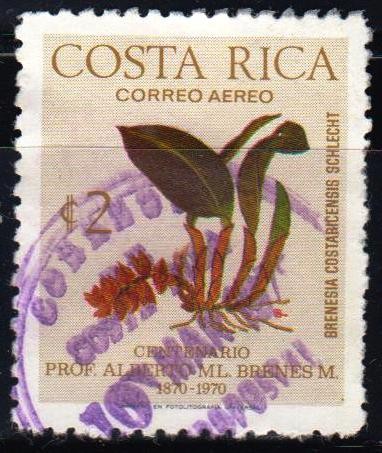 Brenesia Costarricense	