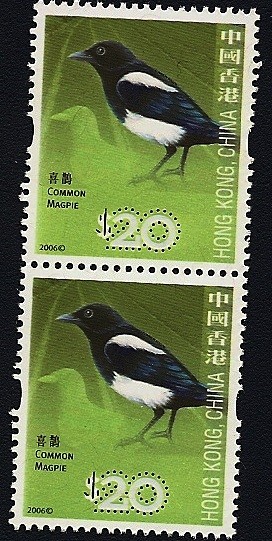 CHINA - Aves  Urraca común - pica pica