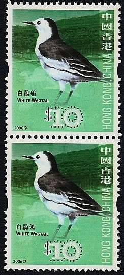CHINA - Aves  lavandera blanca - aguzanieves