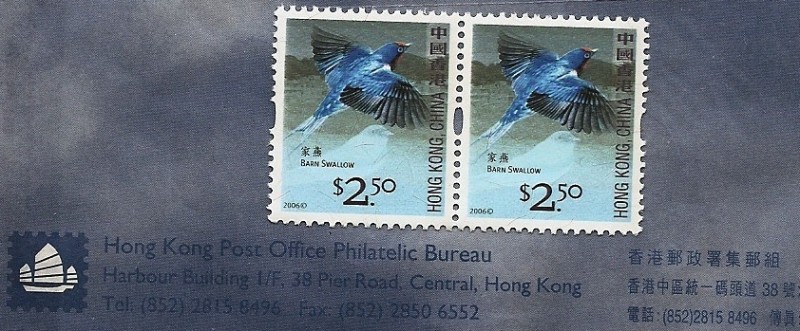 CHINA - Aves  golondrina común