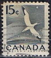 Scott  343  Gannet (5)