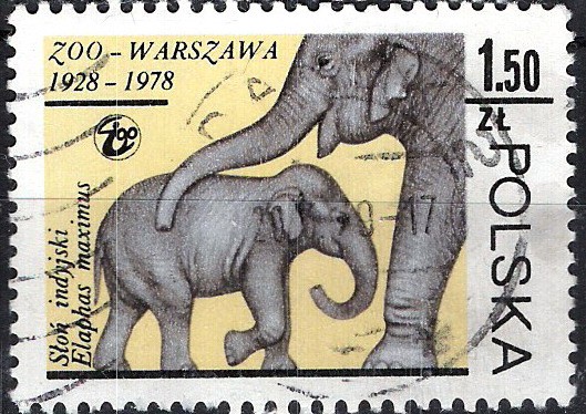 50 Aniversario del Zoológico de Varsovia. Elefantes.