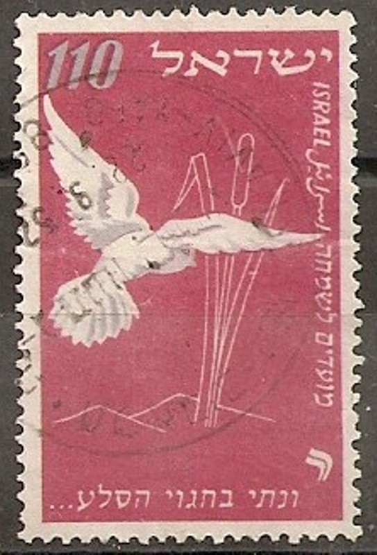 60 - una paloma