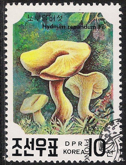 SETAS-HONGOS: 1.205.061,01-Hydnum repandum -Phil.41632-Dm.991.23-Y&T.2217-Mch.3186-Sc.2983