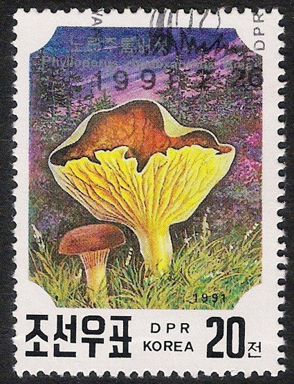 SETAS-HONGOS: 1.205.062,01-Phylloporus rhodoxanthus -Phil.41633-Dm.991.24-Y&T.2218-Mch.3187-Sc.2984