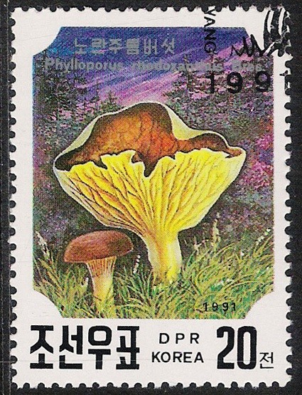 SETAS-HONGOS: 1.205.062,02-Phylloporus rhodoxanthus -Phil.41633-Dm.991.24-Y&T.2218-Mch.3187-Sc.2984