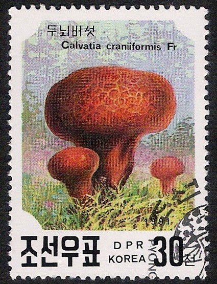 SETAS-HONGOS: 1.205.063,01-Calvatia craniiformis -Phil.41634-Dm.991.25-Y&T.2219-Mch.3188-Sc.2985