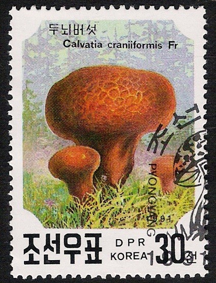 SETAS-HONGOS: 1.205.063,02-Calvatia craniiformis -Phil.41634-Dm.991.25-Y&T.2219-Mch.3188-Sc.2985