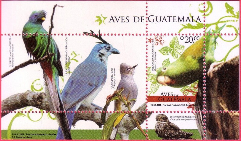 Aves de Guatemala