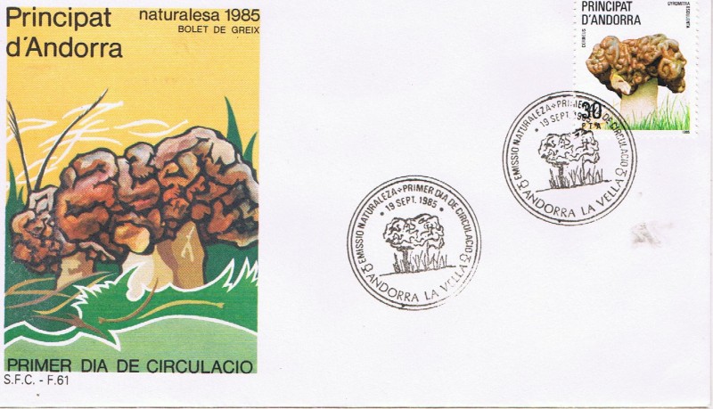 SPD NATURALEZA 1985. SETAS. GYROMITRA ESCULENTA