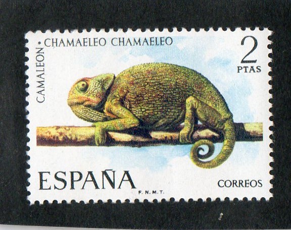  2193- FAUNA HIPANICA. CAMALEON.