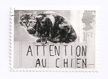 Perros y gatos