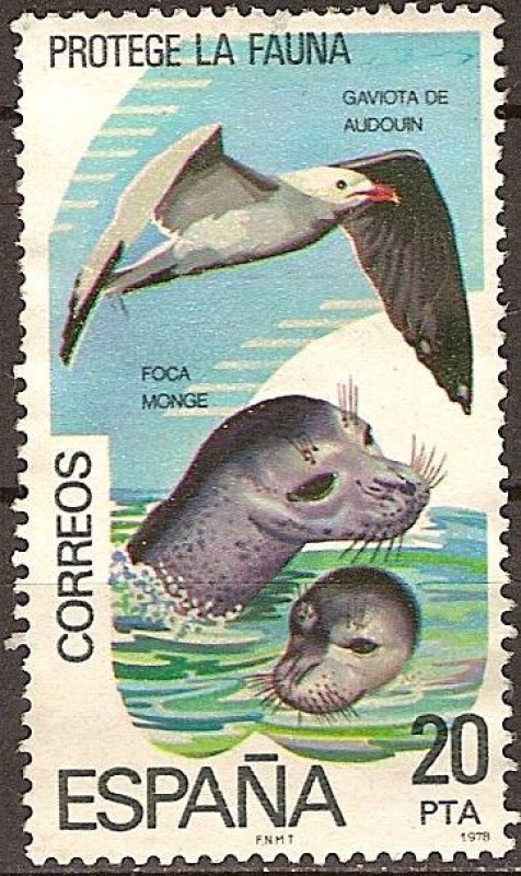 Protege la Fauna (Gaviota de Adouin y Foca Monge)