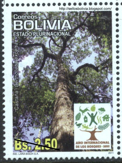 Año internacional de los bosques