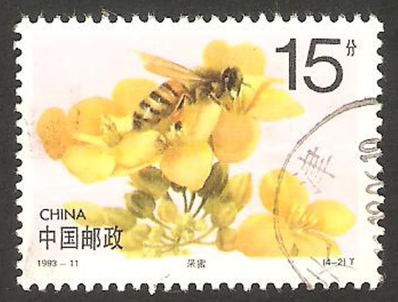 3185 - abeja recolectando polen