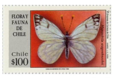 “FLORA Y FAUNA DE CHILE”
