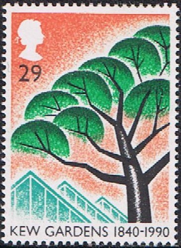 150 ANIVERSARIO DE LOS JARDINES DE KEW. PINO PIÑONERO