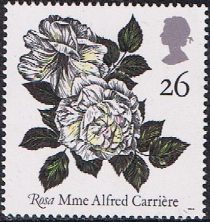 ROSAS. MME. ALFRED CARRIERE