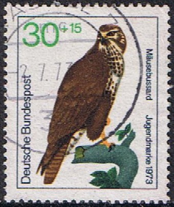 PRO JUVENTUD. AVES RAPACES. ZOPILOTE