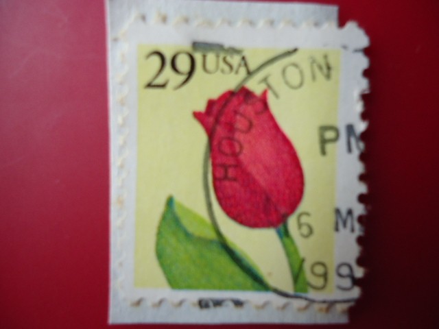 29 USA -Tulip Flower - For U.S. Addresses only (Para nosotros. Solo se Adhiere)