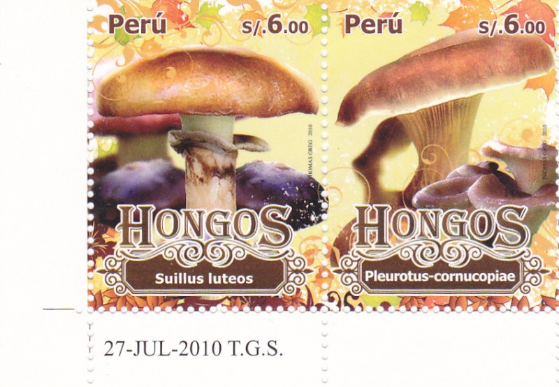 2010 peru hongos