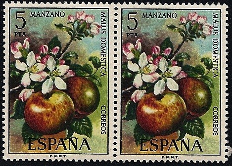 Flora - Manzano