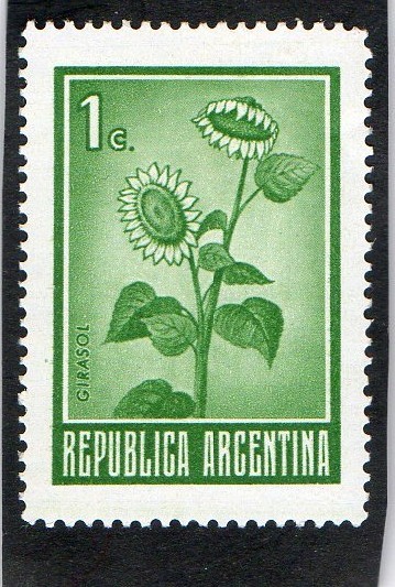  ARGENTINA- GIRASOL