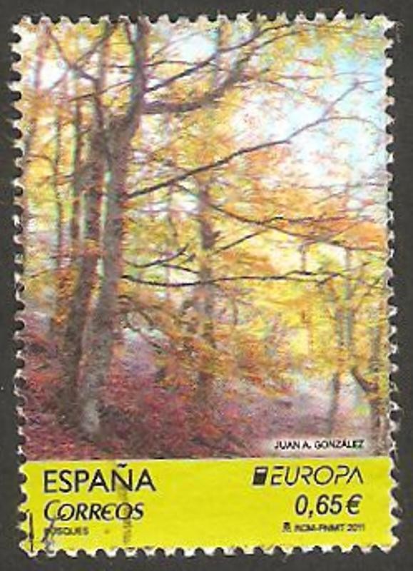 Europa, Año Internacional del Bosque, Hayedo de la Pedrosa en Segovia