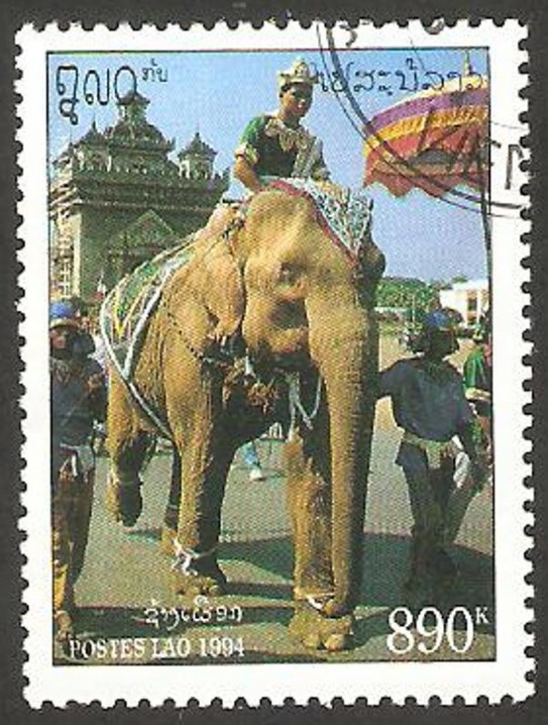 1156 - elefante blanco