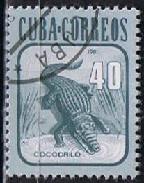 Scott  2462 Cocodrilo (4)