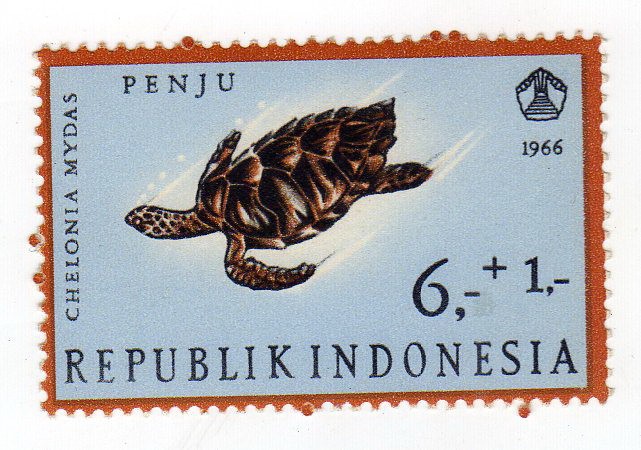 Reptiles: Semipostal Green turtle