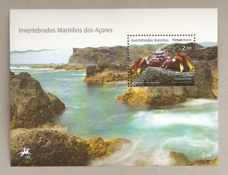 Invertebrados marinos de las Azores