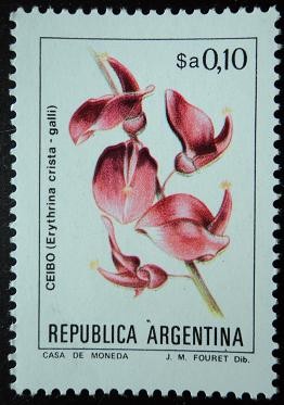 Ceibo / Erythrina crista-galli