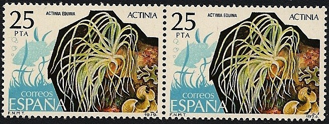 Fauna hispánica - actinia